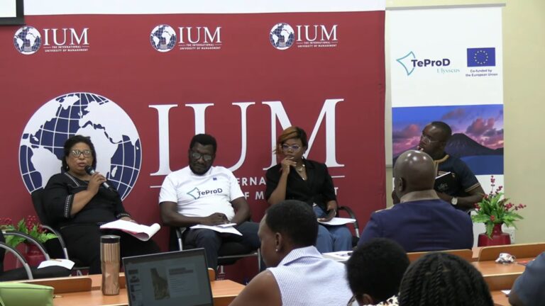 screen shot from the video recording of the IUM workshop.